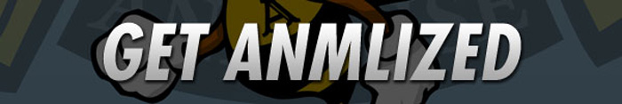 Get Anmlized