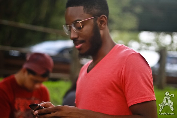 AnmlHse Cookout on Kelly Drive AnmlHse Cookout on Kelly Drive