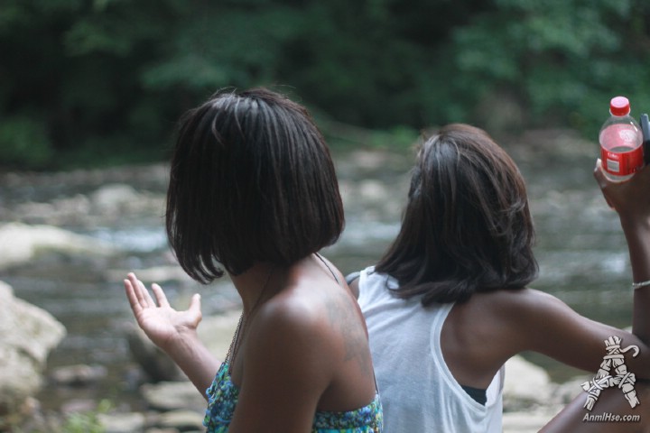 AnmlHse Devils Pool Philadelphia Wissahickon Creek AnmlHse Devils Pool Philadelphia Wissahickon Creek