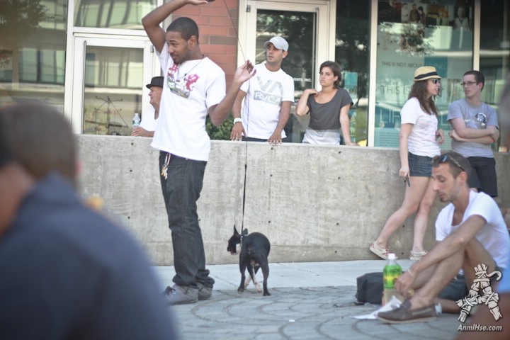 AnmlHse Philadelphia Photo Dump
