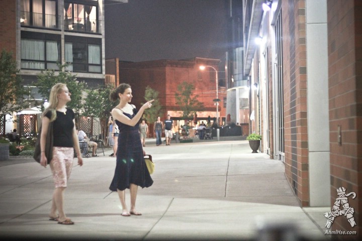AnmlHse Philadelphia Photo Dump